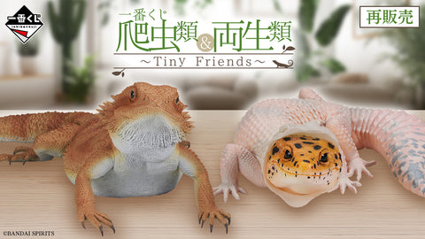一番くじ 爬虫類＆両生類～Tiny Friends～